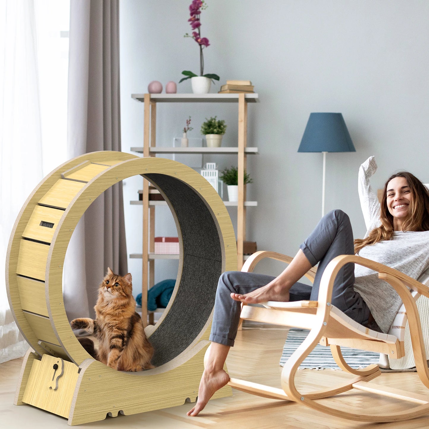 Cat Exercise Wheel for Indoor Fitness and Fun