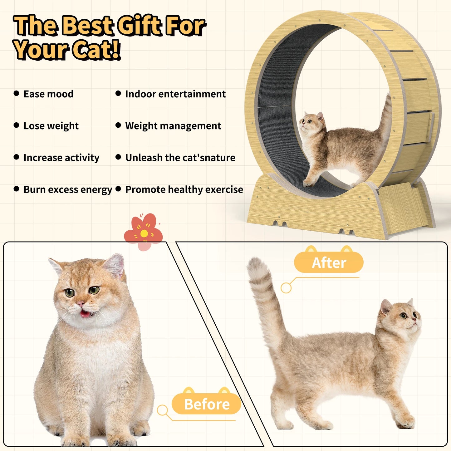 Cat Exercise Wheel for Indoor Fitness and Fun