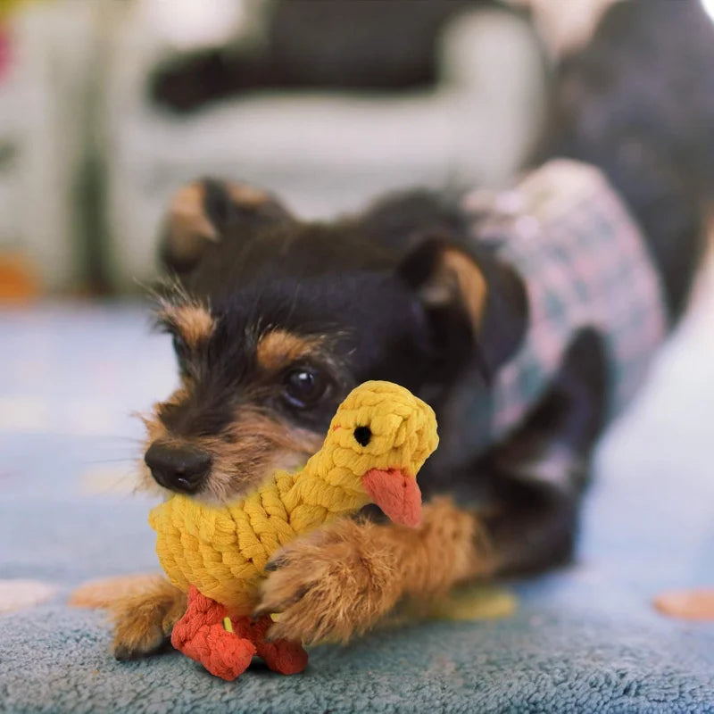 Sunshine Smile Puppy Chew Toy for Happy Teeth Cleaning Fun