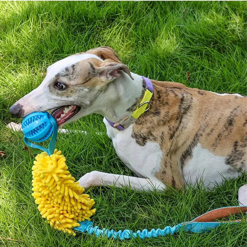Interactive Dog Tug Toy with Squeaky Chew and Elastic Drawstring