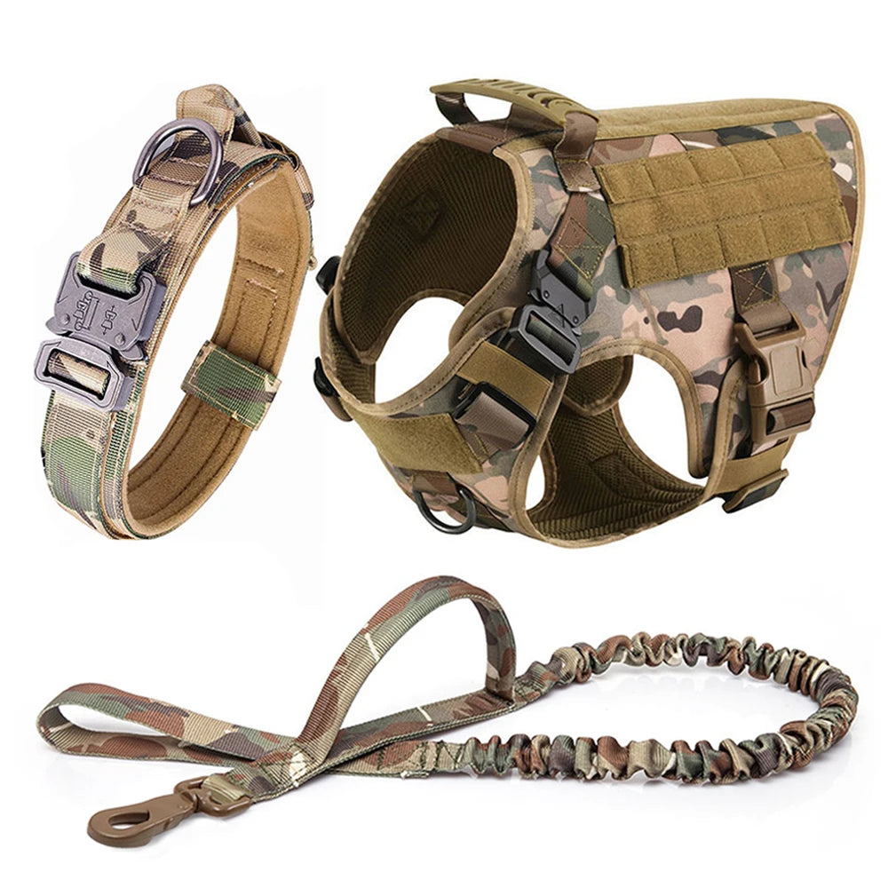 Dog Harness and Leash Set for Training and Walking