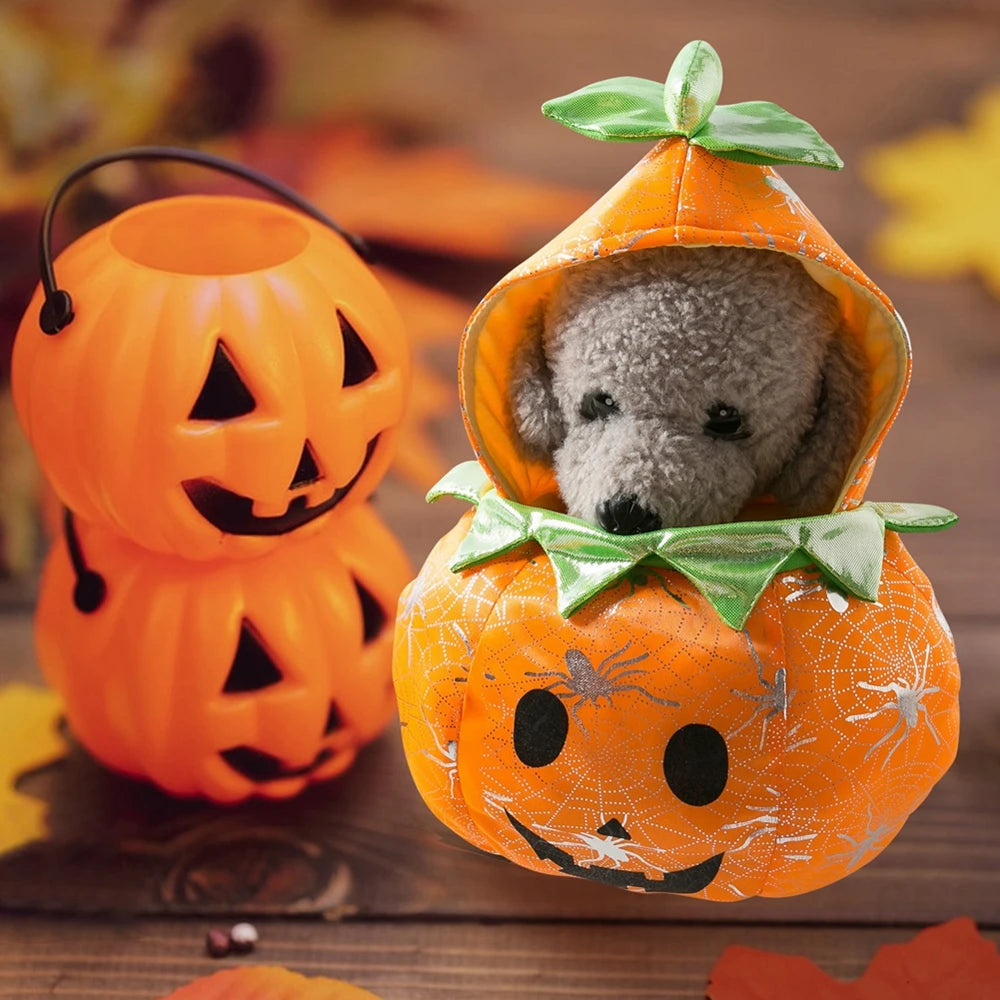 Funny Pumpkin Costume for Dogs Perfect for Halloween Festivities