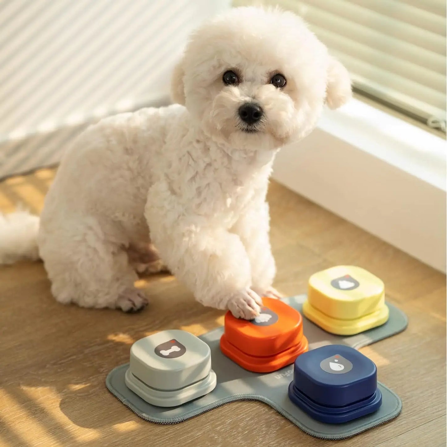Mewoofun Dog Buttons with Rubber Mat Recordable Talking Buttons Set for Dog Training and Communication