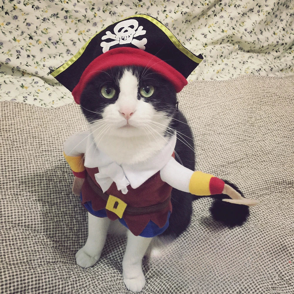 Cute Pirate Costume for Dogs and Cats Year-Round Fun