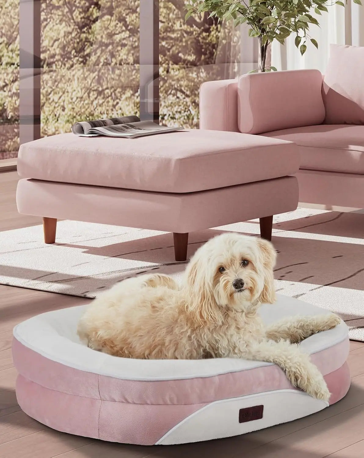 Orthopedic Dog Bed Couch for Large Pets with Egg Foam Support Four Sided Bolster Cushions and Tear Resistant Fabric