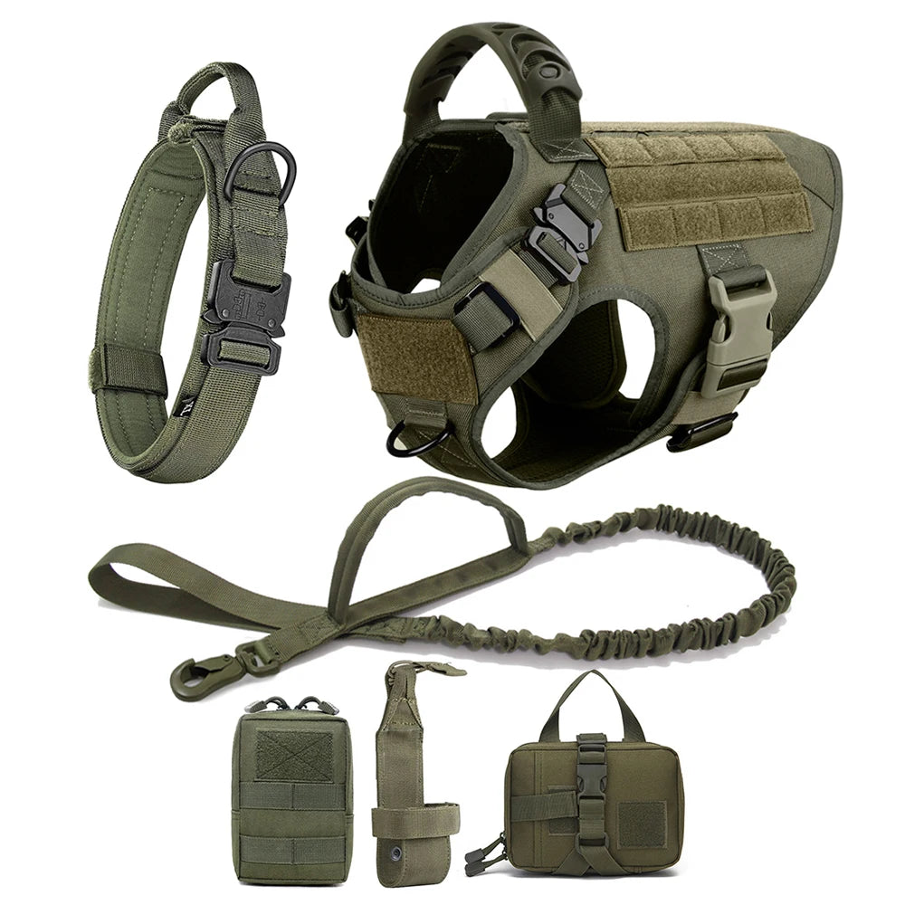 Dog Harness and Leash Set for Training and Walking