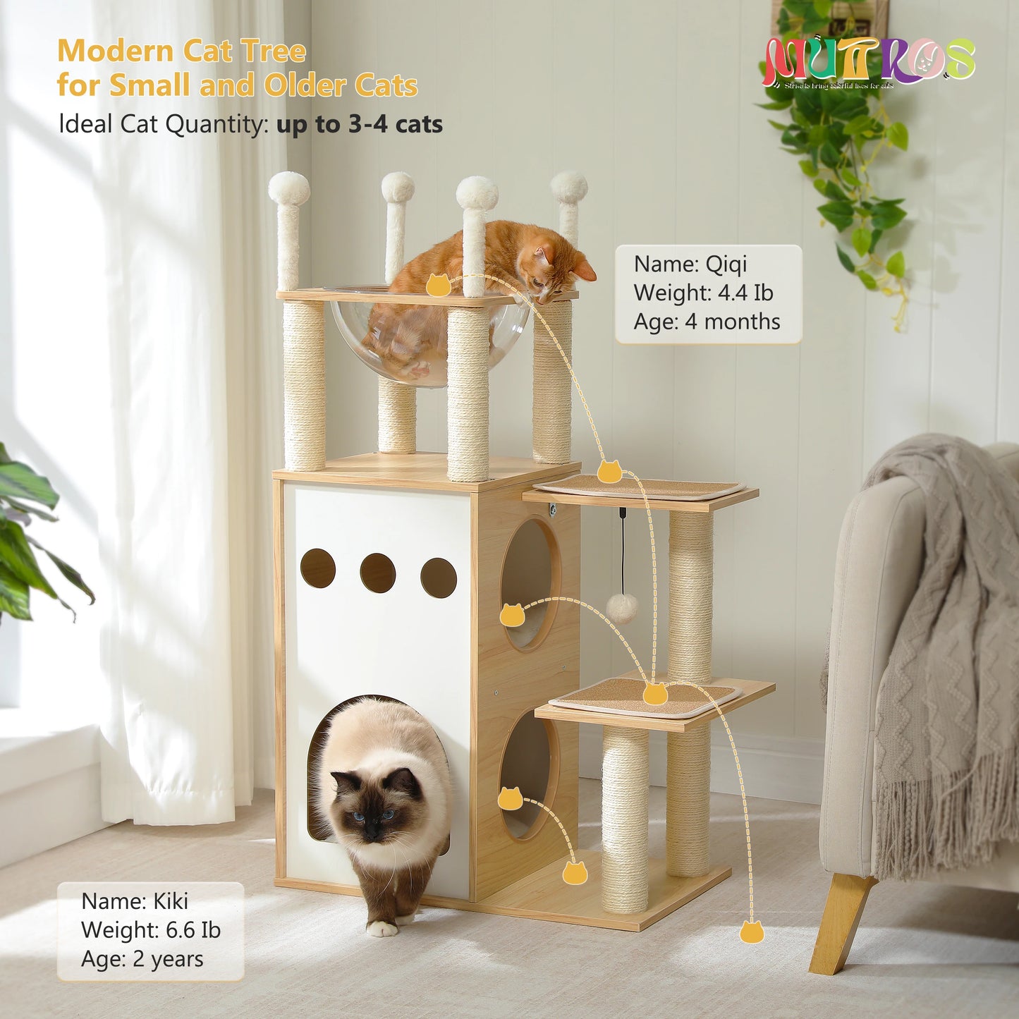 Modern Cat Tree with Condo and Scratching Posts for Cats
