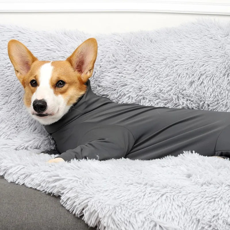 Cozy Long-Sleeved Pet Pajamas for Recovery and Comfort