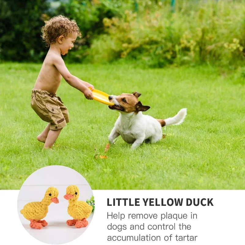 Sunshine Smile Puppy Chew Toy for Happy Teeth Cleaning Fun