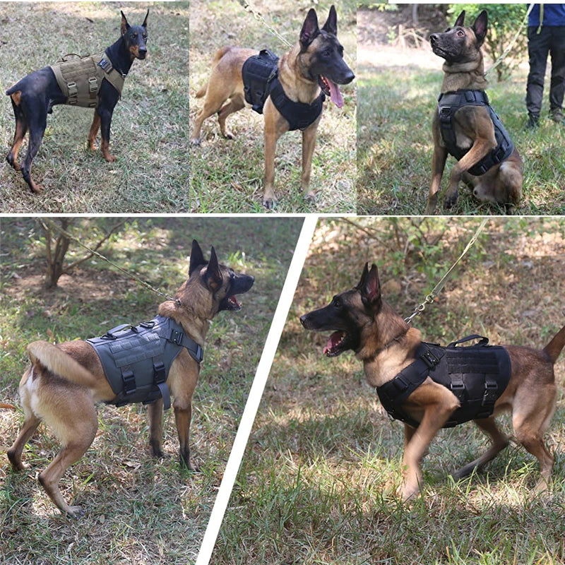 Tactical Dog Harness and Leash Set for All Breeds