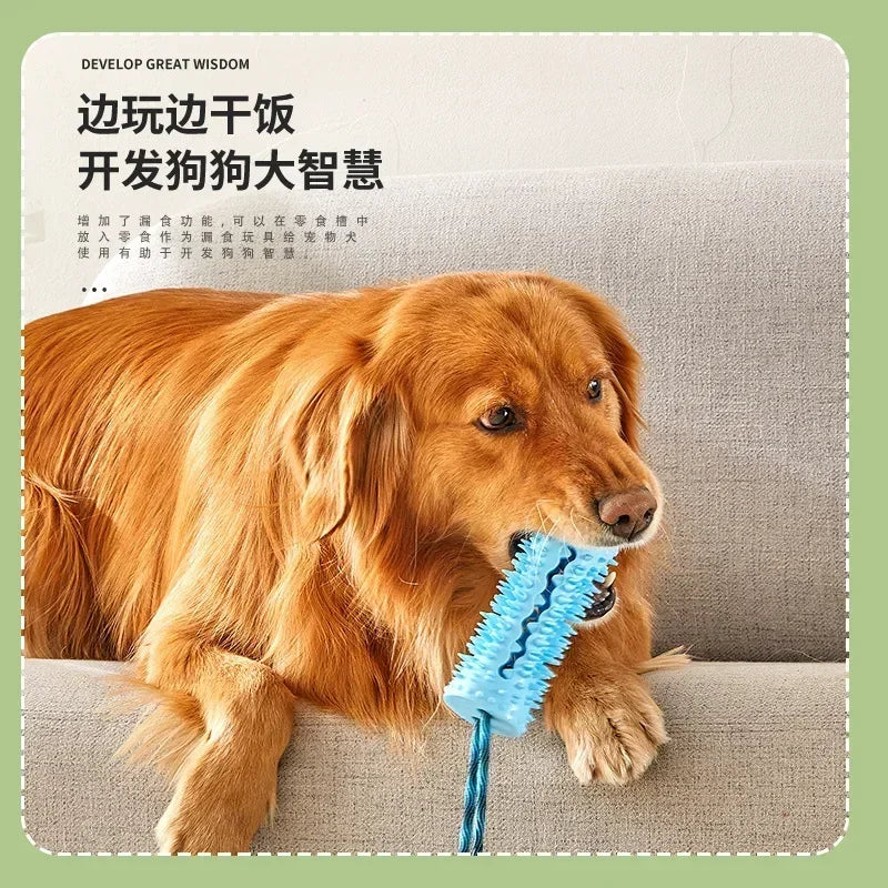 Interactive Rubber Dog Toy Ball for Chewing and Cleaning