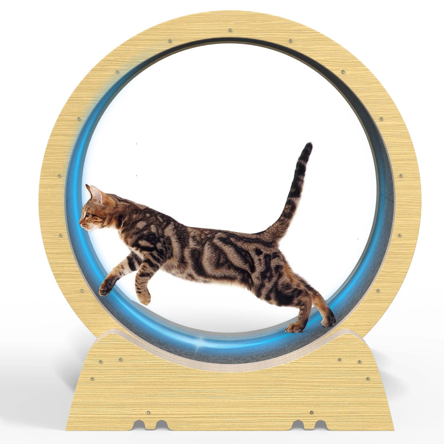 Cat Exercise Wheel for Indoor Fitness and Fun