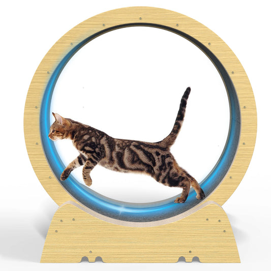 Cat Exercise Wheel for Indoor Fitness and Fun