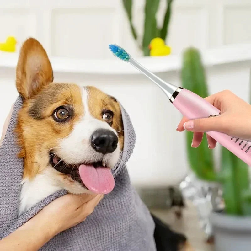 Electric Pet Toothbrush For Dogs And Cats With Rechargeable Head