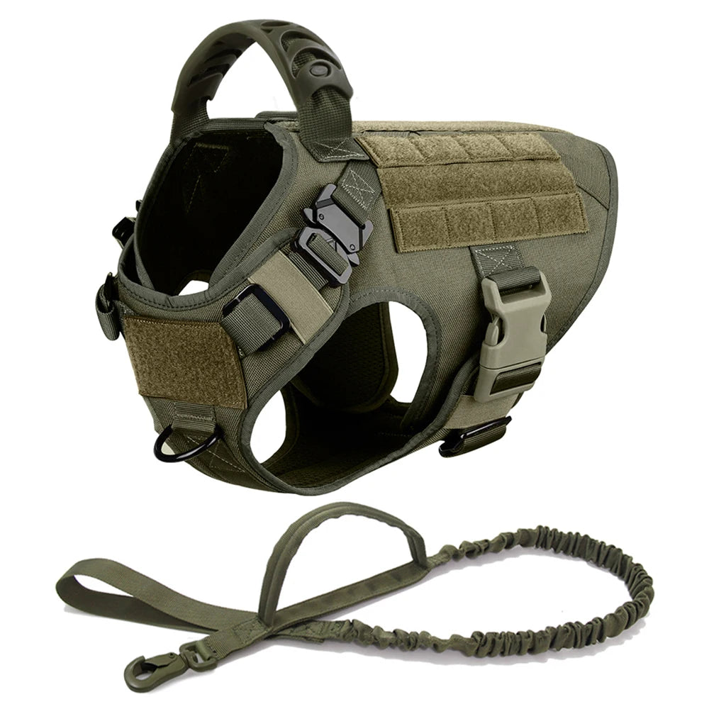 Dog Harness and Leash Set for Training and Walking