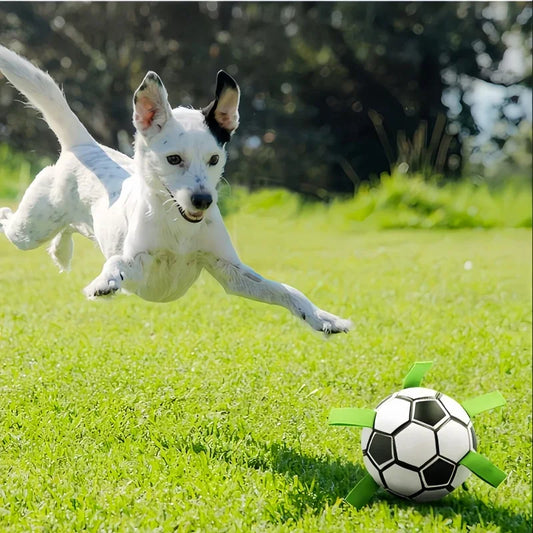 Durable Football Design Dog Toy with Straps for Training Play