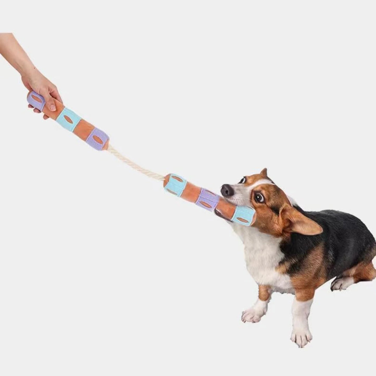 Engaging Interactive Nunchaku Squeak Toy for Puppies and Dogs