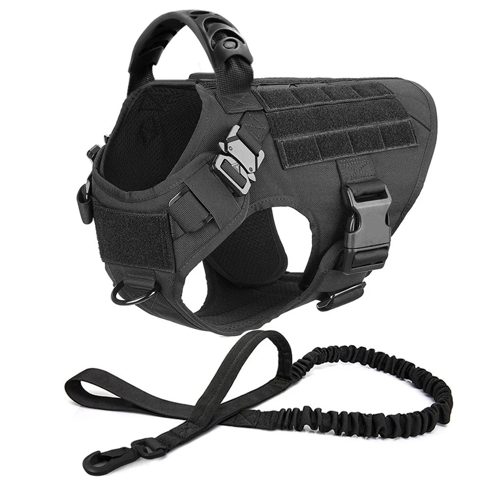 Dog Harness and Leash Set for Training and Walking