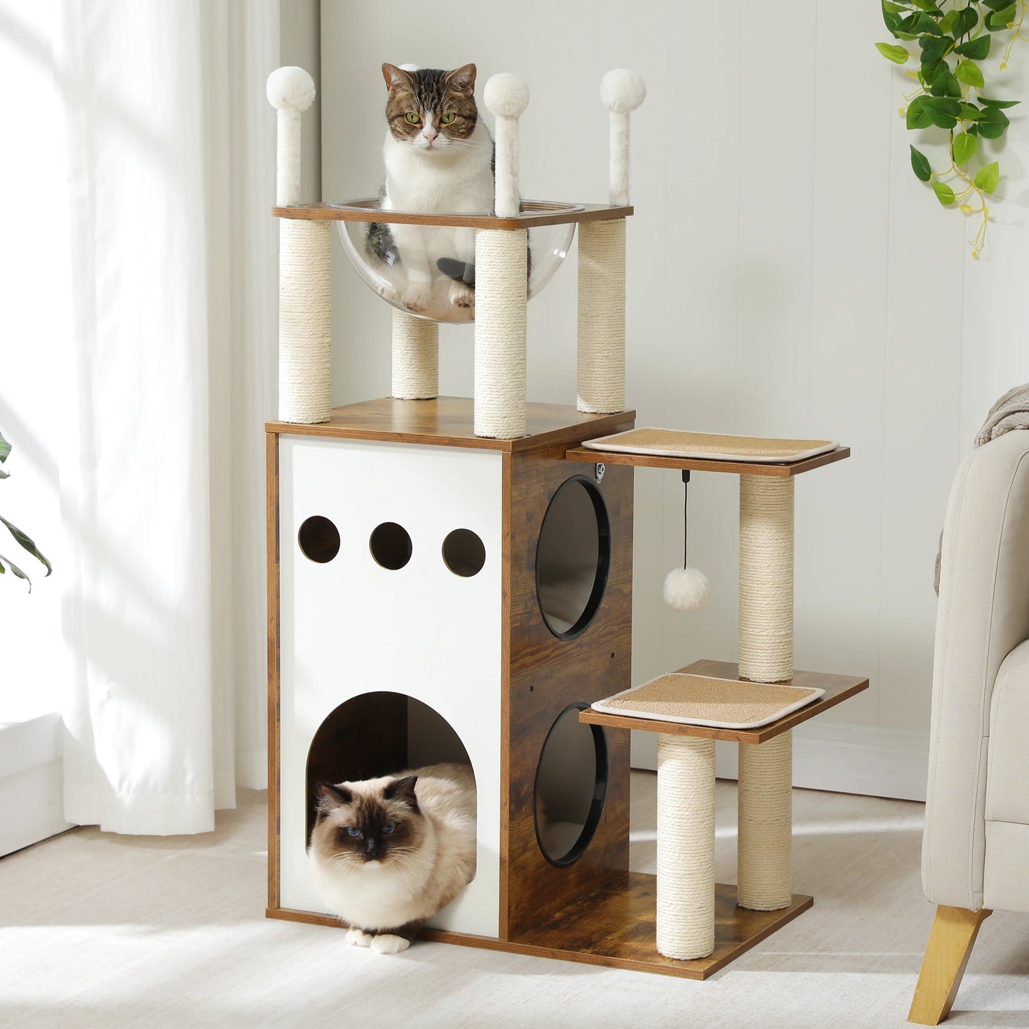Modern Wooden Cat Tree with Condo and Scratching Posts