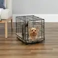 Secure Dog Crate with Leak-Proof Pan and Floor Protection