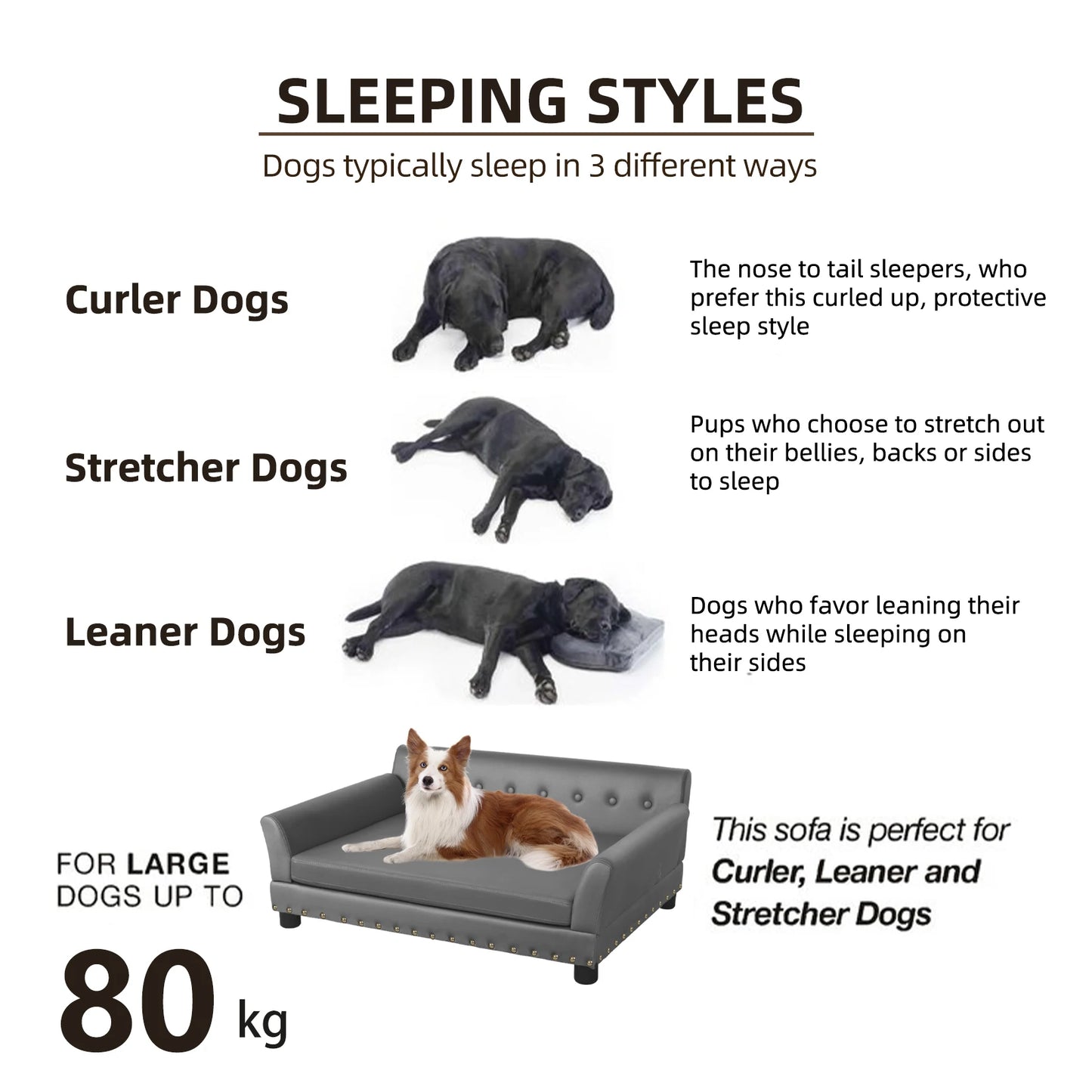 Elevated Dog Bed Sofa Mat with Removable Cushion for Pets