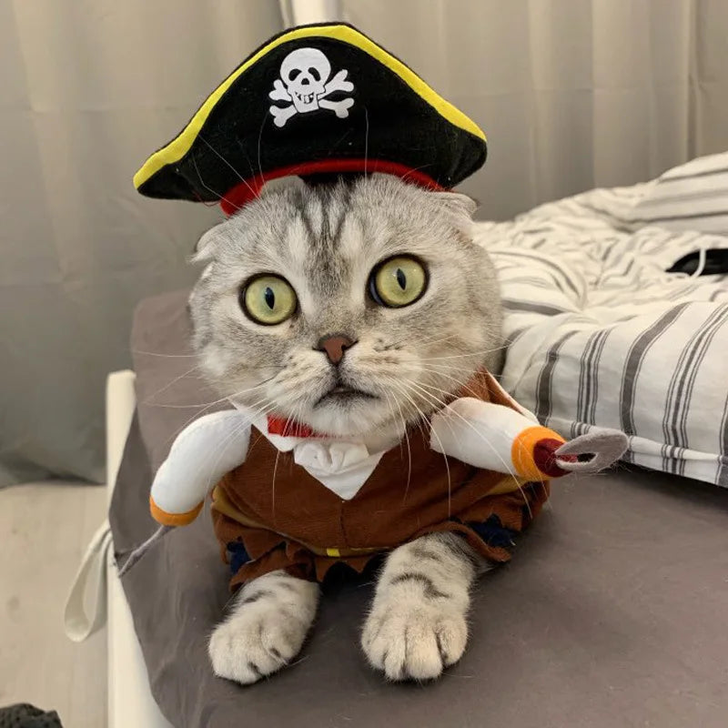 Cute Pirate Costume for Dogs and Cats Year-Round Fun