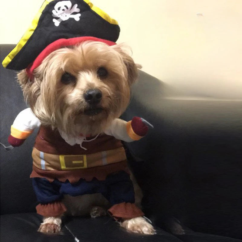 Cute Pirate Costume for Dogs and Cats Year-Round Fun
