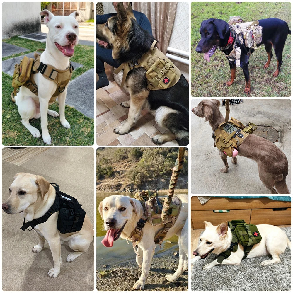 Tactical Dog Harness Collar Leash Set for Large Dogs