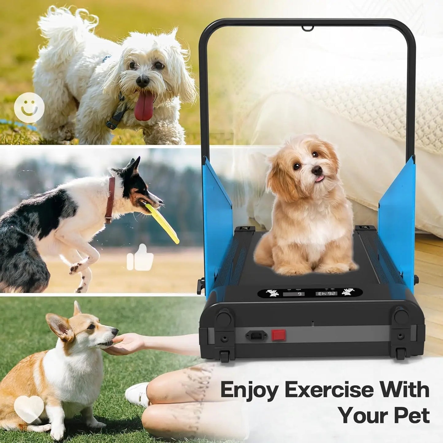 Dog Treadmill for Small and Medium Dogs Fitness Machine