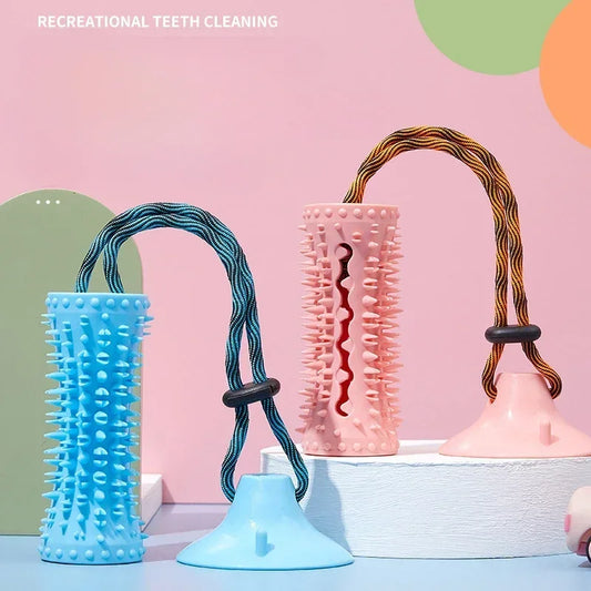 Interactive Rubber Dog Toy Ball for Chewing and Cleaning