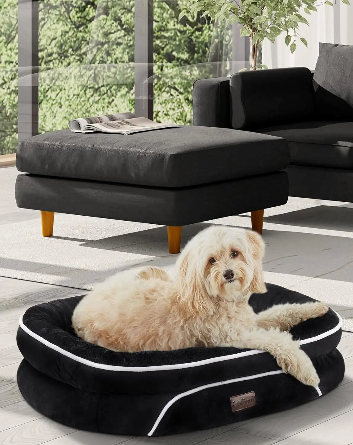 Orthopedic Dog Bed Couch for Large Pets with Egg Foam Support Four Sided Bolster Cushions and Tear Resistant Fabric