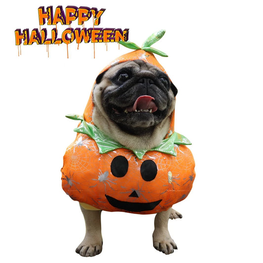 Funny Pumpkin Costume for Dogs Perfect for Halloween Festivities