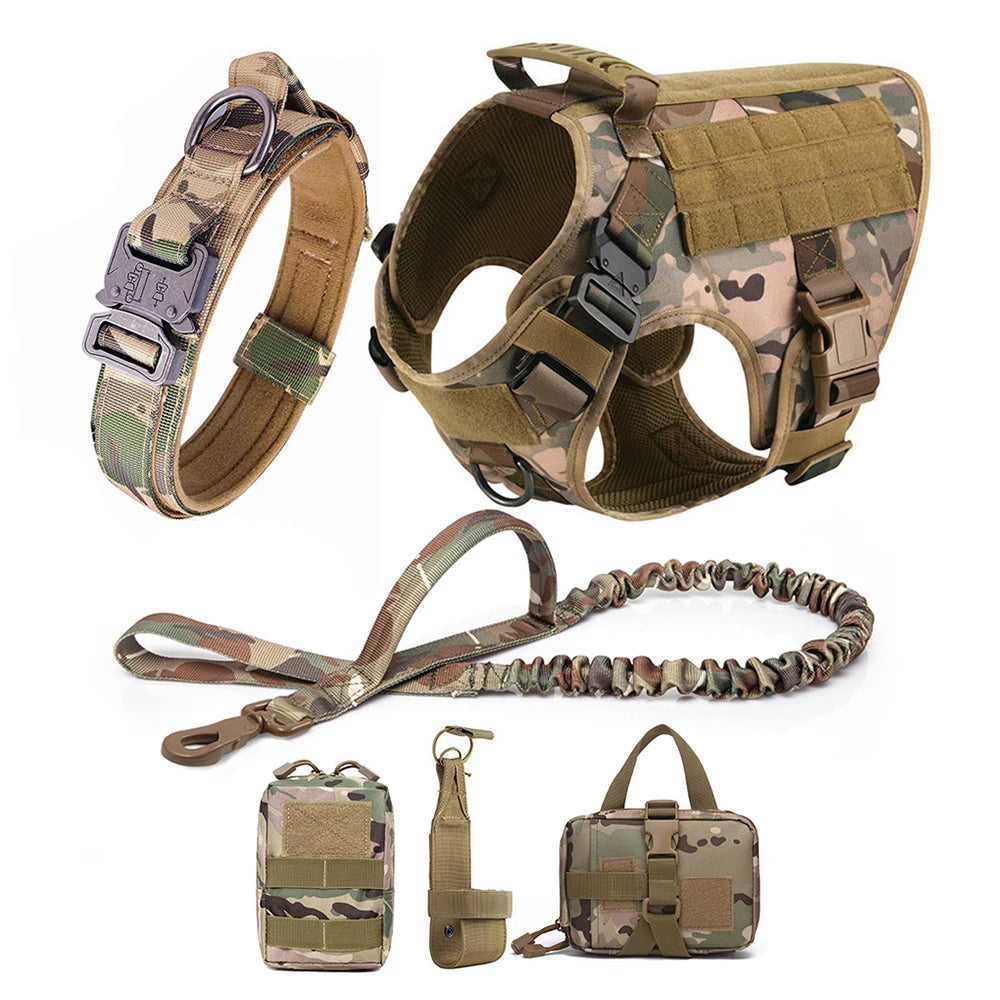 Dog Harness and Leash Set for Training and Walking