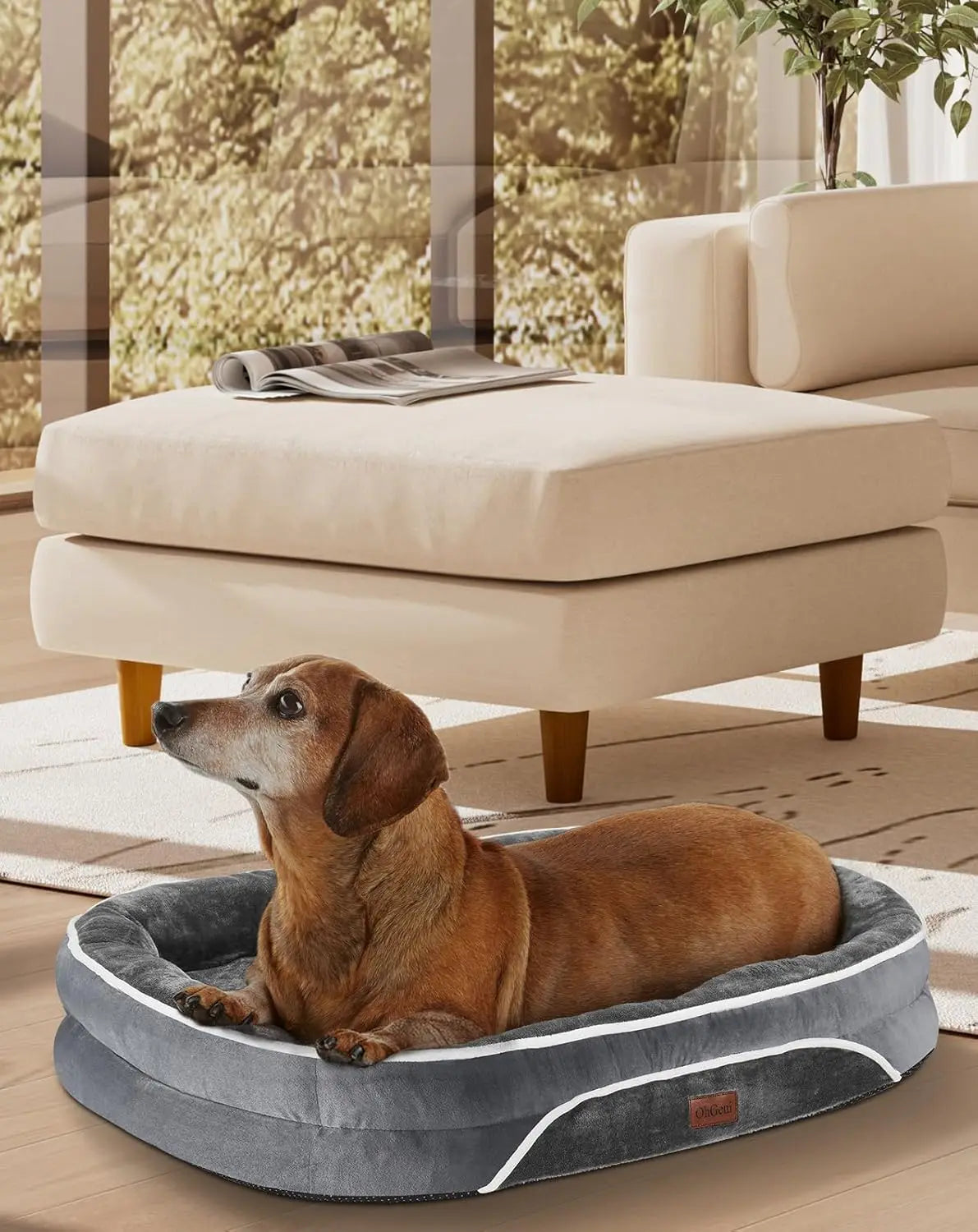 Orthopedic Dog Bed Couch for Large Pets with Egg Foam Support Four Sided Bolster Cushions and Tear Resistant Fabric
