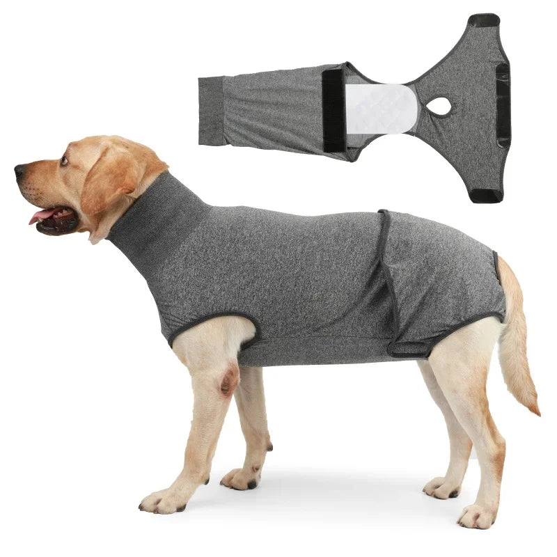 Pet Recovery Suit for Dogs and Cats After Surgery