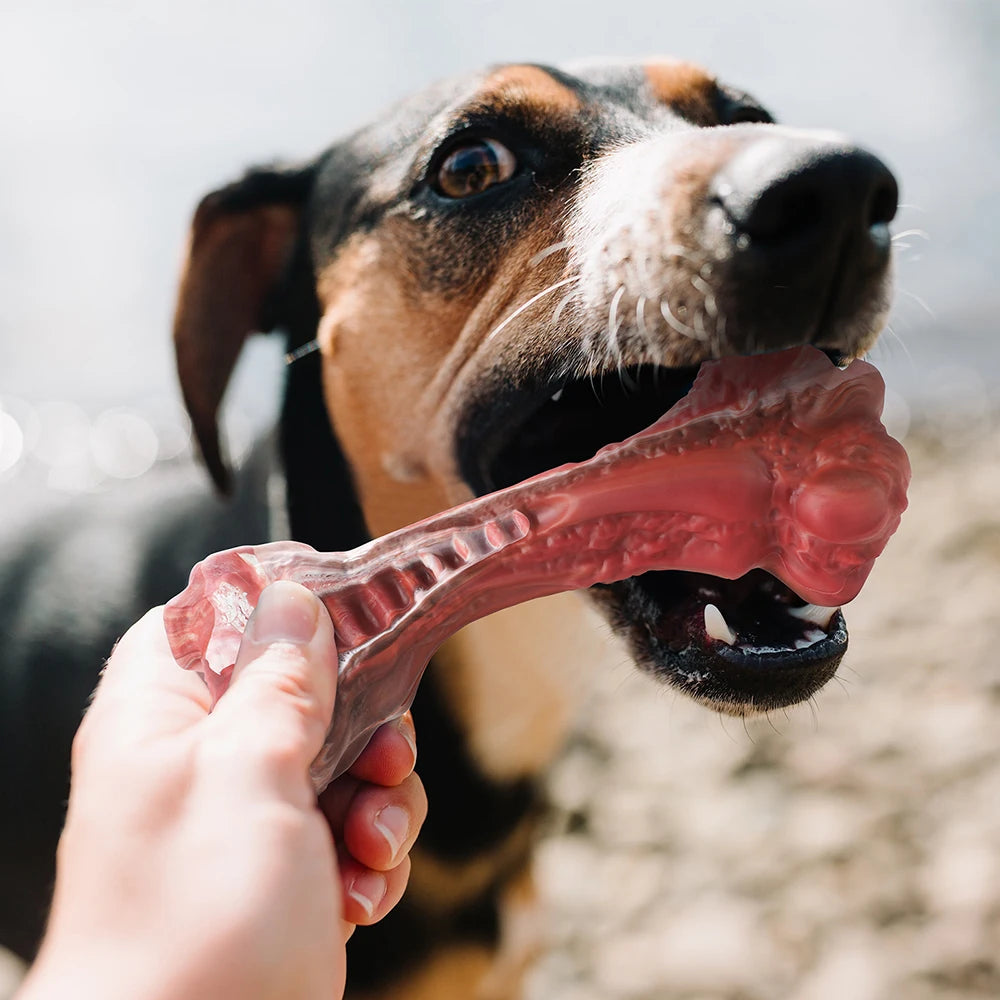 Indestructible Bone-Shaped Dog Toy for Aggressive Chewers