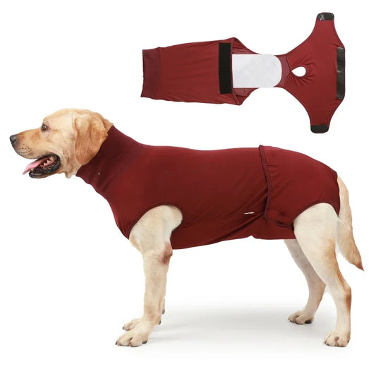 Pet Recovery Suit for Dogs and Cats After Surgery