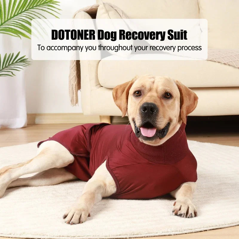 Pet Recovery Suit for Dogs and Cats After Surgery