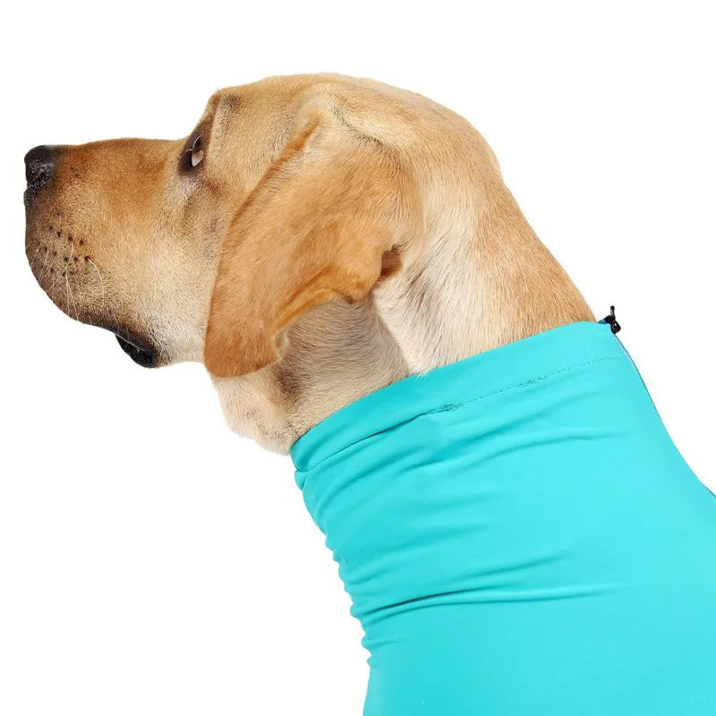Cozy Long-Sleeved Pet Pajamas for Recovery and Comfort