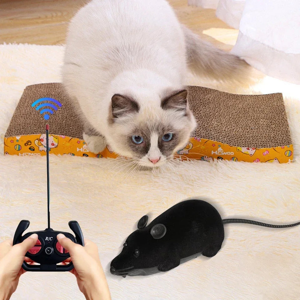 Remote Controlled Cat Toy with Realistic Motion and Interactive Fun