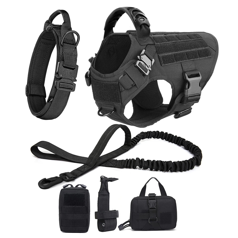Dog Harness and Leash Set for Training and Walking