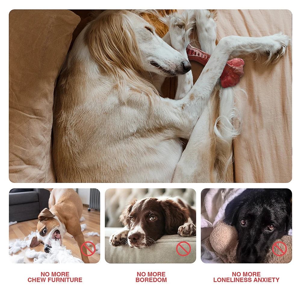 Indestructible Bone-Shaped Dog Toy for Aggressive Chewers