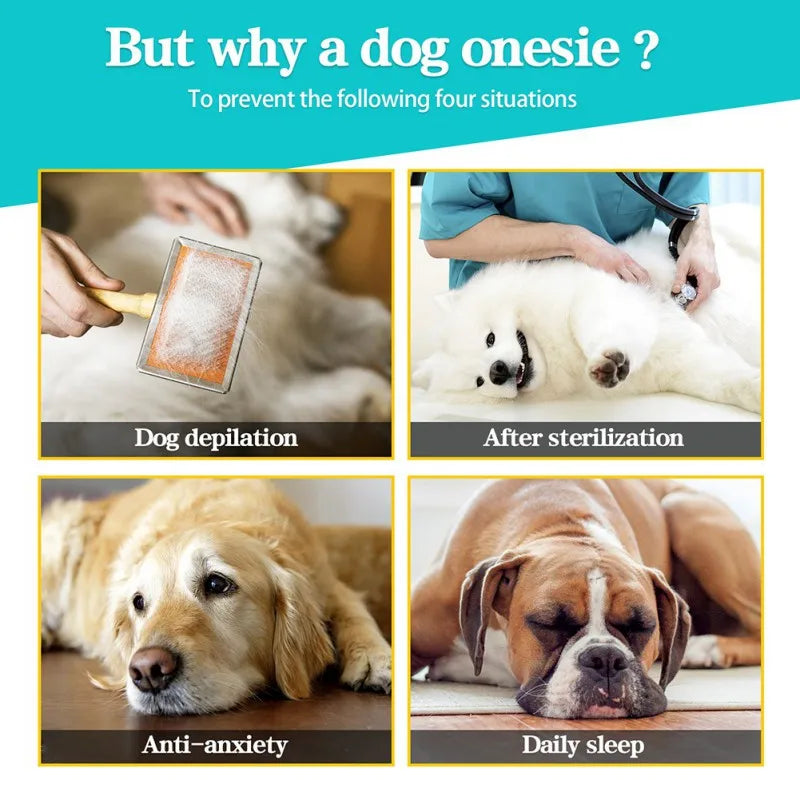 Cozy Long-Sleeved Pet Pajamas for Recovery and Comfort