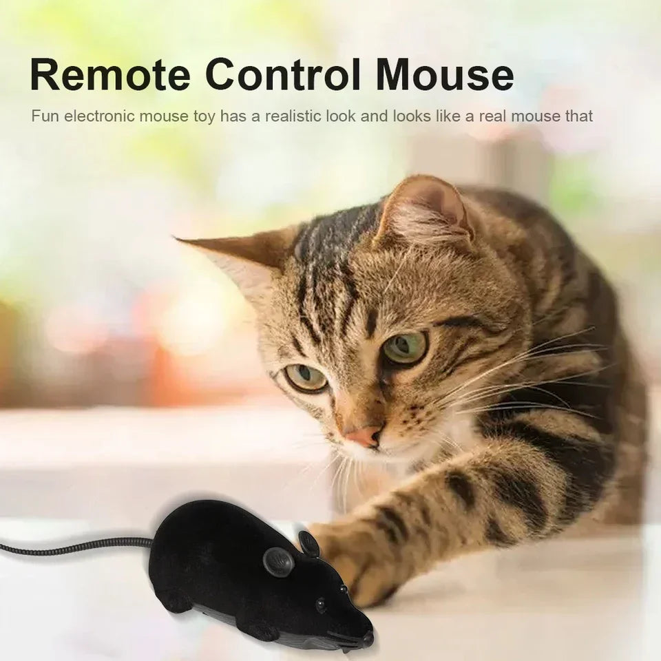 Remote Controlled Cat Toy with Realistic Motion and Interactive Fun