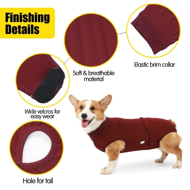 Pet Recovery Suit for Dogs and Cats After Surgery