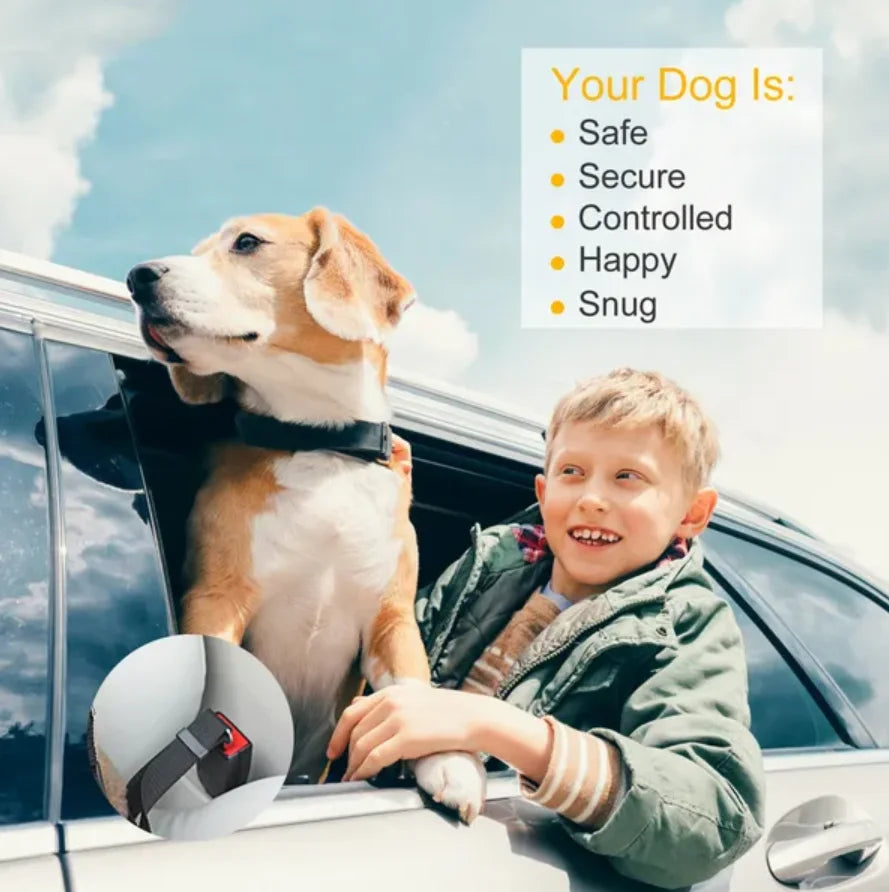 Adjustable Pet Dog Seat Belt Leash for Safety and Comfort