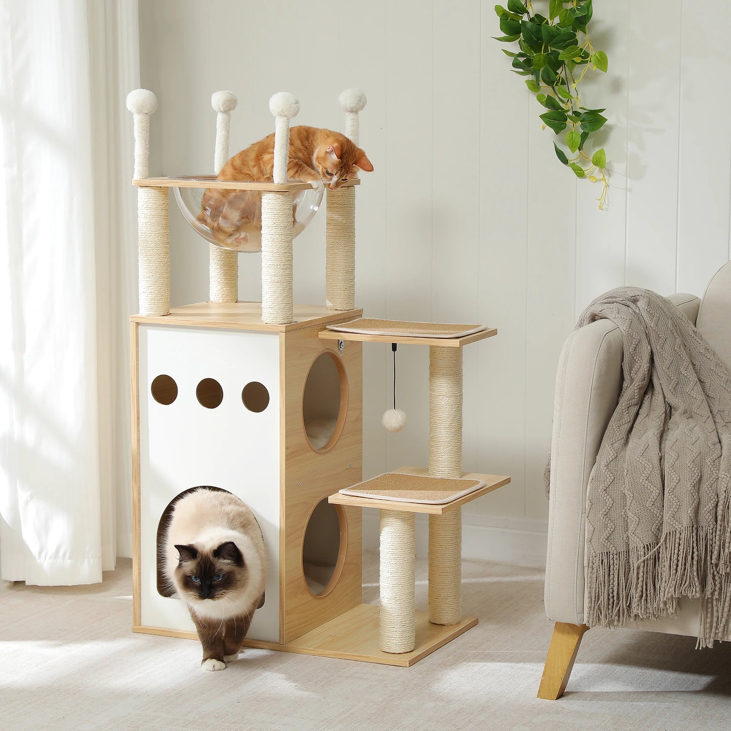 Modern Cat Tree with Condo and Scratching Posts for Cats