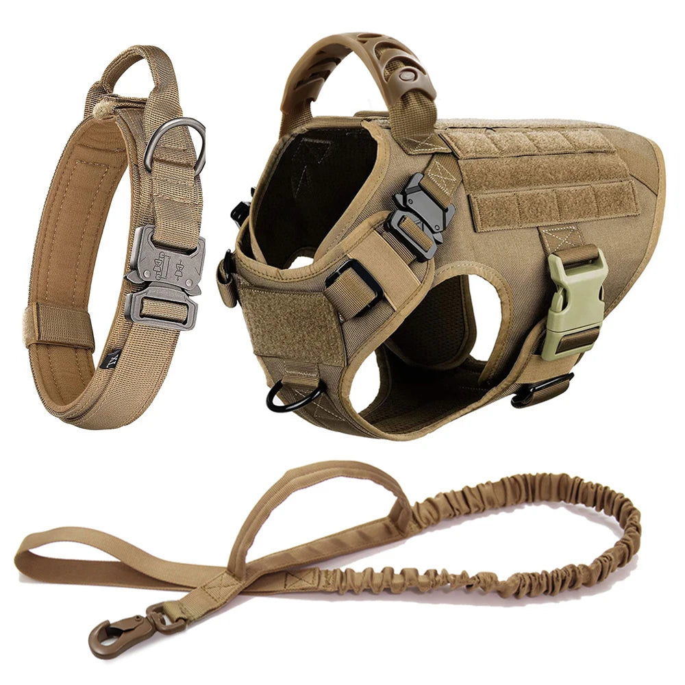Dog Harness and Leash Set for Training and Walking