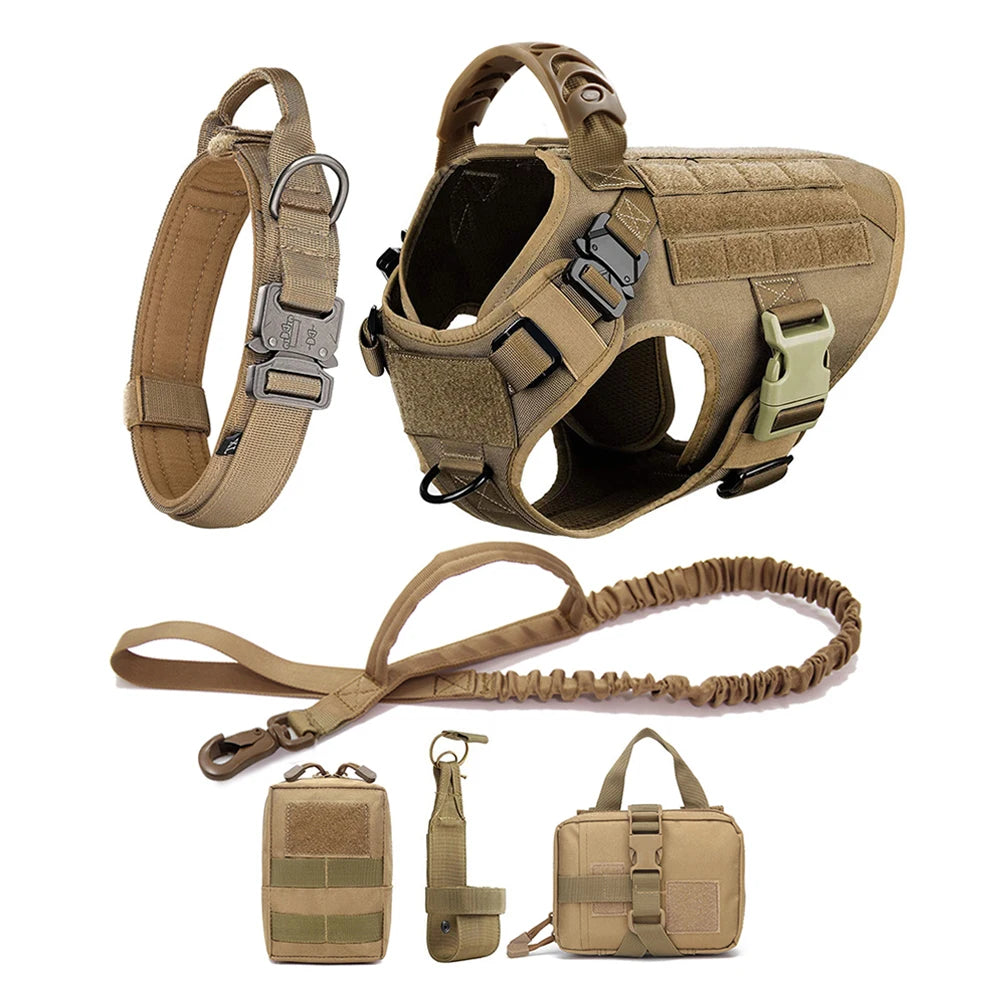 Dog Harness and Leash Set for Training and Walking