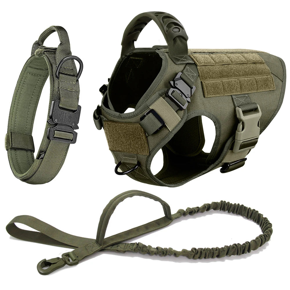 Dog Harness and Leash Set for Training and Walking